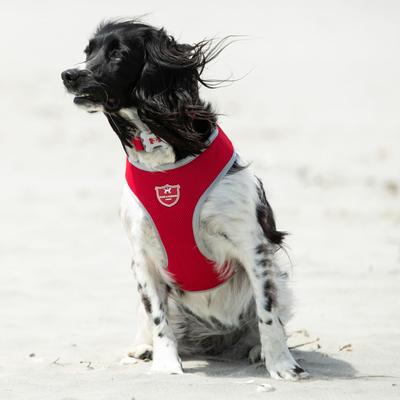 Show full view: HUGO & HUDSON Mesh Dog Harness, Red, X-Small slide 2 of 10