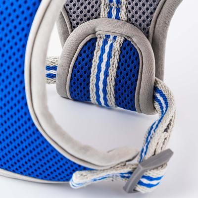 Show full view: HUGO & HUDSON Mesh Dog Harness, Royal Blue, Large slide 4 of 10