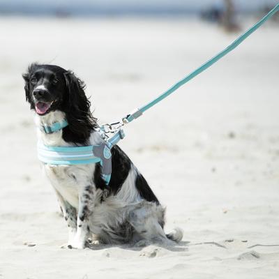 Show full view: HUGO & HUDSON Mesh Dog Lead, Aqua, X-Small/Small slide 2 of 9