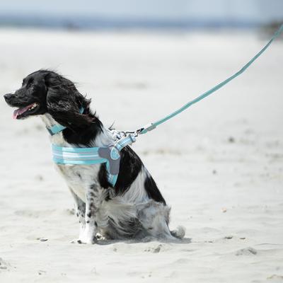 Show full view: HUGO & HUDSON Mesh Dog Lead, Aqua, X-Small/Small slide 7 of 9