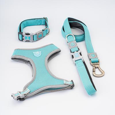 Show full view: HUGO & HUDSON Mesh Dog Lead, Aqua, X-Small/Small slide 9 of 9
