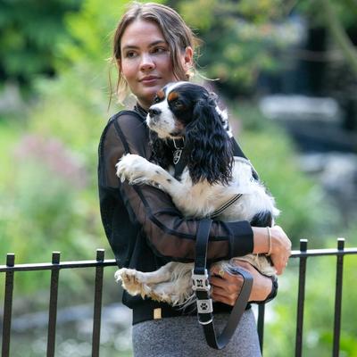 Show full view: HUGO & HUDSON Mesh Dog Lead, Black, Medium/Large slide 2 of 9