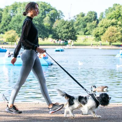 Show full view: HUGO & HUDSON Mesh Dog Lead, Black, Medium/Large slide 6 of 9