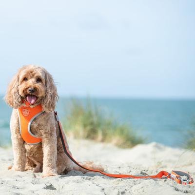 Show full view: HUGO & HUDSON Mesh Dog Lead, Orange, X-Small/Small slide 2 of 9