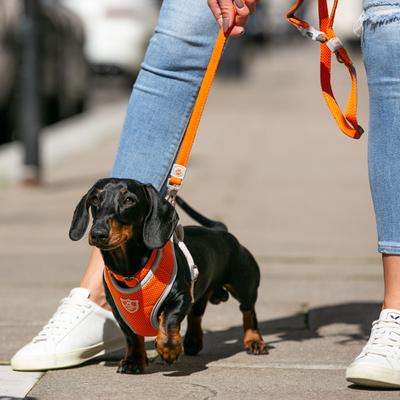 Show full view: HUGO & HUDSON Mesh Dog Lead, Orange, X-Small/Small slide 8 of 9