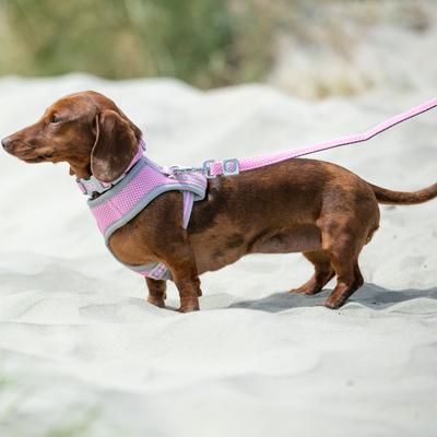 Show full view: HUGO & HUDSON Mesh Dog Lead, Pink, Medium/Large slide 2 of 9