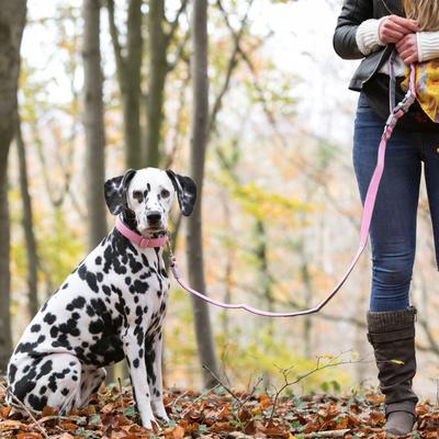 Show full view: HUGO & HUDSON Mesh Dog Lead, Pink, Medium/Large slide 6 of 9