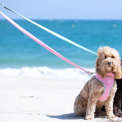 Show full view: HUGO & HUDSON Mesh Dog Lead, Pink, Medium/Large slide 8 of 9