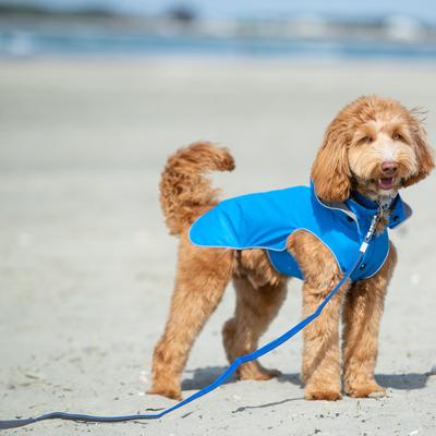 Show full view: HUGO & HUDSON Mesh Dog Lead, Royal Blue, X-Small/Small slide 2 of 9