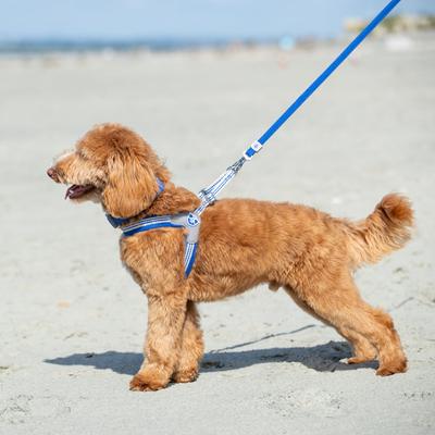 Show full view: HUGO & HUDSON Mesh Dog Lead, Royal Blue, X-Small/Small slide 6 of 9