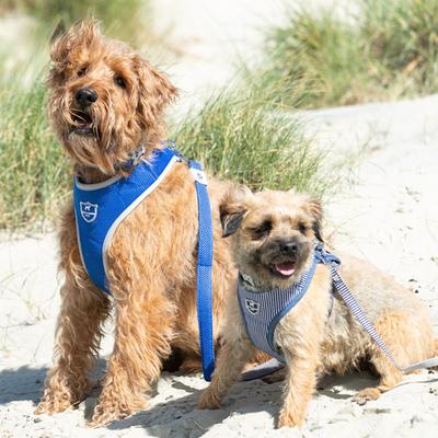 Show full view: HUGO & HUDSON Mesh Dog Lead, Royal Blue, X-Small/Small slide 7 of 9
