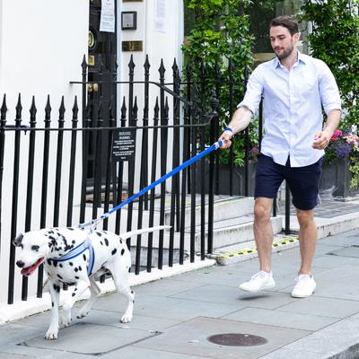 Show full view: HUGO & HUDSON Mesh Dog Lead, Royal Blue, X-Small/Small slide 8 of 9