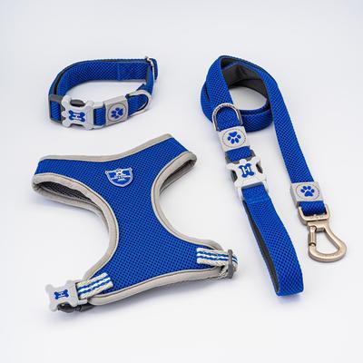 Show full view: HUGO & HUDSON Mesh Dog Lead, Royal Blue, X-Small/Small slide 9 of 9