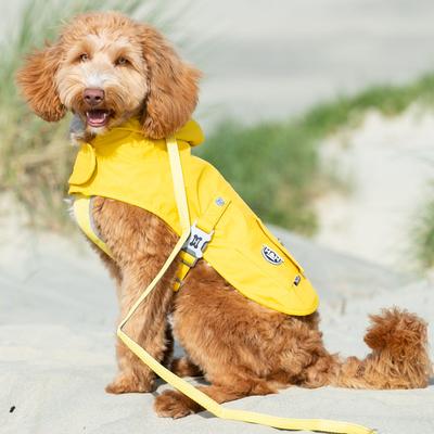 Show full view: HUGO & HUDSON Mesh Dog Lead, Yellow, Medium/Large slide 2 of 9