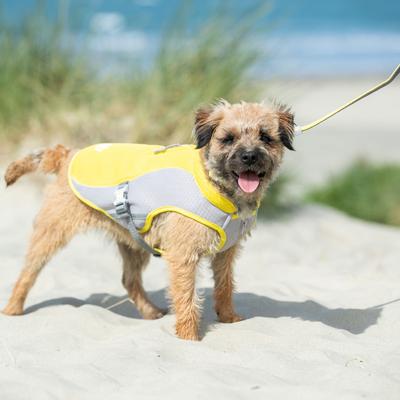 Show full view: HUGO & HUDSON Mesh Dog Lead, Yellow, Medium/Large slide 8 of 9