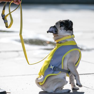 Show full view: HUGO & HUDSON Mesh Dog Lead, Yellow, X-Small/Small slide 8 of 10