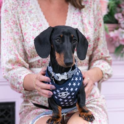 Show full view: HUGO & HUDSON Nylon Bone Buckle Dog Collar, Navy, Large slide 7 of 8