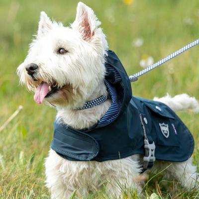 Show full view: HUGO & HUDSON Nylon Bone Buckle Dog Collar, Navy, Small slide 4 of 8