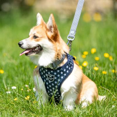 Show full view: HUGO & HUDSON Nylon Bone Buckle Dog Collar, Navy, Small slide 5 of 8