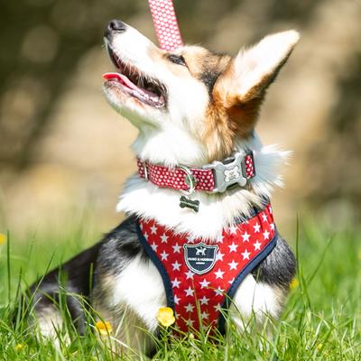 Show full view: HUGO & HUDSON Nylon Bone Buckle Dog Collar, Red, Large slide 2 of 8