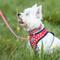 Show in main carousel: HUGO & HUDSON Nylon Bone Buckle Dog Collar, Red, Large slide 4 of 8