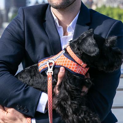 Show full view: HUGO & HUDSON Nylon Geometric Bone Buckle Dog Collar, Orange, Large slide 6 of 8