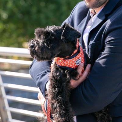 Show full view: HUGO & HUDSON Nylon Geometric Bone Buckle Dog Collar, Orange, X-Small slide 8 of 9