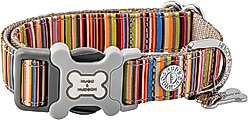 HUGO & HUDSON Nylon Striped Bone Buckle Dog Collar, Multi-colored, Large