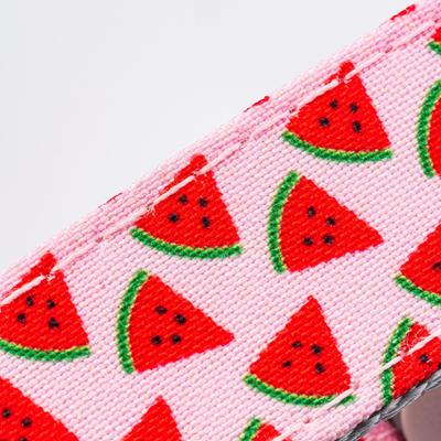 Show full view: HUGO & HUDSON Nylon Watermelon Bone Buckle Dog Collar, Pink, medium slide 3 of 9