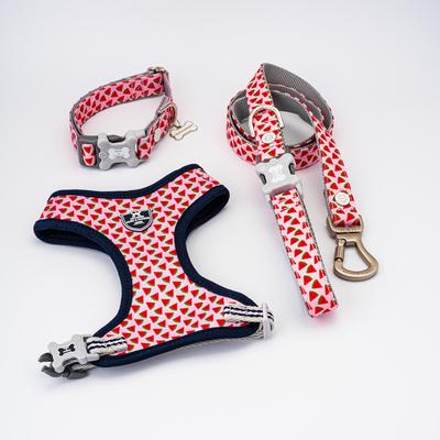 Show full view: HUGO & HUDSON Nylon Watermelon Bone Buckle Dog Collar, Pink, medium slide 8 of 9