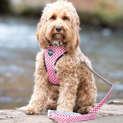 Show full view: HUGO & HUDSON Nylon Watermelon Bone Buckle Dog Collar, Pink, X-Small slide 6 of 9