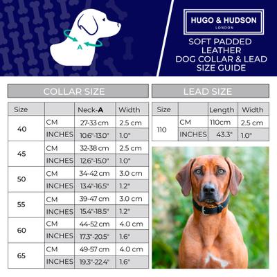 Show full view: HUGO & HUDSON Padded Leather Dog Collar, Black, 15.7-in slide 4 of 8