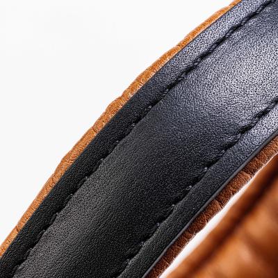 Show full view: HUGO & HUDSON Padded Leather Dog Collar, Black, 15.7-in slide 5 of 8