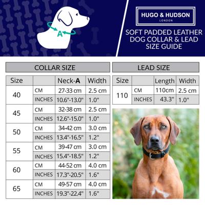 Show full view: HUGO & HUDSON Padded Leather Dog Leash, Black, 43.3-in slide 4 of 6