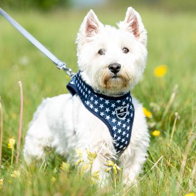 Show full view: HUGO & HUDSON Printed Dog Harness, Navy Star, Large slide 2 of 9