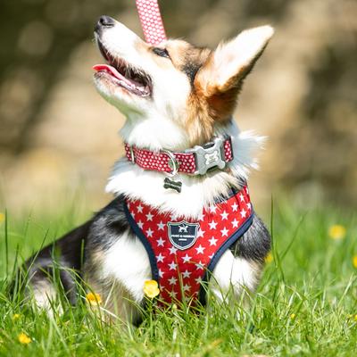 Show full view: HUGO & HUDSON Printed Dog Harness, Red Star, Medium slide 8 of 9