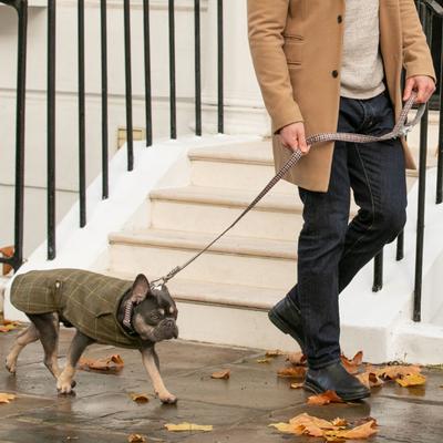 Show full view: HUGO & HUDSON Printed Dog Leash, Navy & Red, X-Small/Small slide 6 of 8