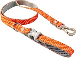 HUGO & HUDSON Printed Dog Leash, Orange, Medium/Large