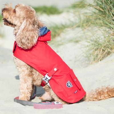 Show full view: HUGO & HUDSON Printed Dog Leash, Red, Medium/Large slide 6 of 8