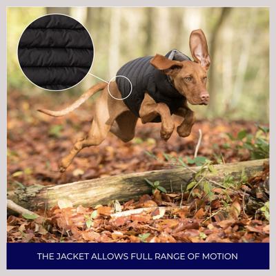 Show full view: HUGO & HUDSON Reversible Insulated Dog Puffer Jacket, Black, Small slide 7 of 9