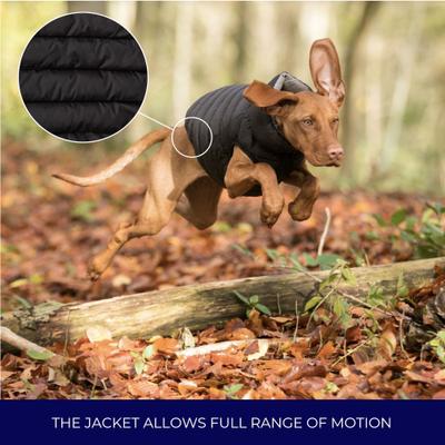 Show full view: HUGO & HUDSON Reversible Waterproof Insulated Dog Puffer Jacket, Black/Grey, Large-65 slide 6 of 8