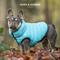 Show in main carousel: HUGO & HUDSON Reversible Waterproof Insulated Dog Puffer Jacket, Blue/Grey, Small-35 slide 2 of 8