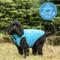 Show in main carousel: HUGO & HUDSON Reversible Waterproof Insulated Dog Puffer Jacket, Blue/Grey, Small-35 slide 7 of 8