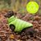Show in main carousel: HUGO & HUDSON Reversible Waterproof Insulated Dog Puffer Jacket, Green/Navy, Large-65 slide 7 of 8