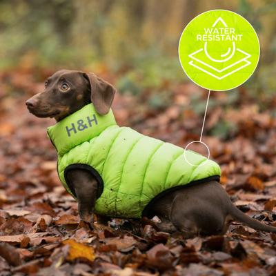 Show full view: HUGO & HUDSON Reversible Waterproof Insulated Dog Puffer Jacket, Green/Navy, Large-65 slide 7 of 8