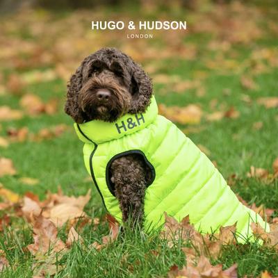 Show full view: HUGO & HUDSON Reversible Waterproof Insulated Dog Puffer Jacket, Green/Navy, Large-65 slide 2 of 8