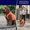 Show in main carousel: HUGO & HUDSON Reversible Waterproof Insulated Dog Puffer Jacket, Orange/Navy, Large-65 slide 4 of 8