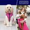 Show in main carousel: HUGO & HUDSON Reversible Waterproof Insulated Dog Puffer Jacket, Pink/Grey, Large-55 slide 4 of 8