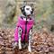 Show in main carousel: HUGO & HUDSON Reversible Waterproof Insulated Dog Puffer Jacket, Pink/Grey, Large-65 slide 2 of 8