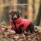 Show in main carousel: HUGO & HUDSON Reversible Waterproof Insulated Dog Puffer Jacket, Red/Navy, Large-65 slide 2 of 8
